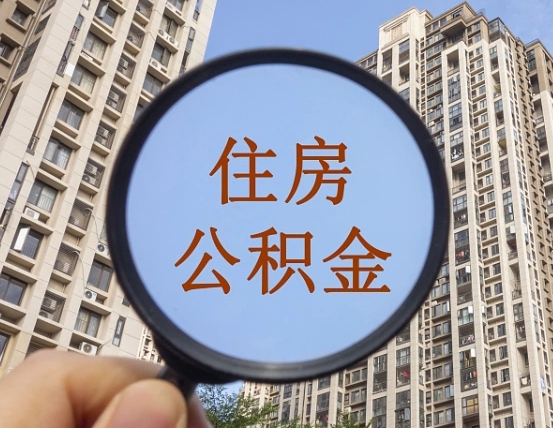 永城退休后查不到公积金明细了吗（退休后公积金查询不到原因）